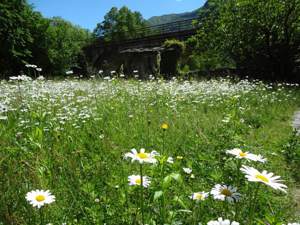 Gasthof Casa Martinelli, Boutique-hotel Maggia TI